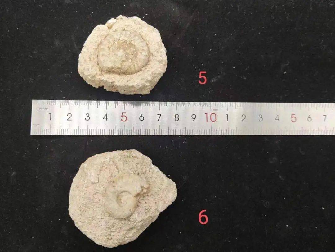 恋人节快要到了，极具特色的，专属天文人的恋人节礼品