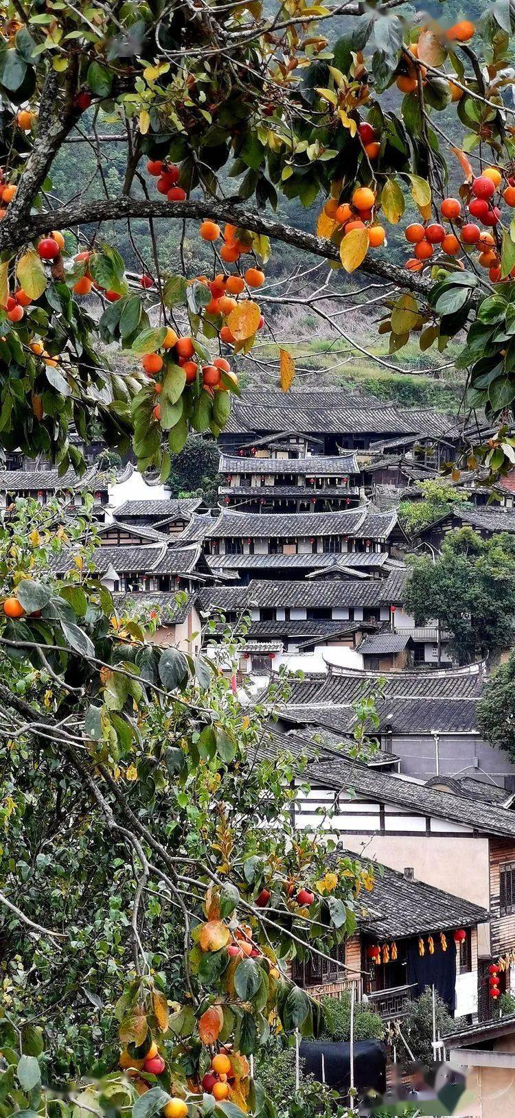 ��������΢��Ӱ��һ�������조����֮�ġ�