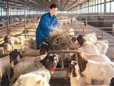 全力抓好粮食消费，严防“割青毁粮”（“一号文件”新提法传递哪些信号③）