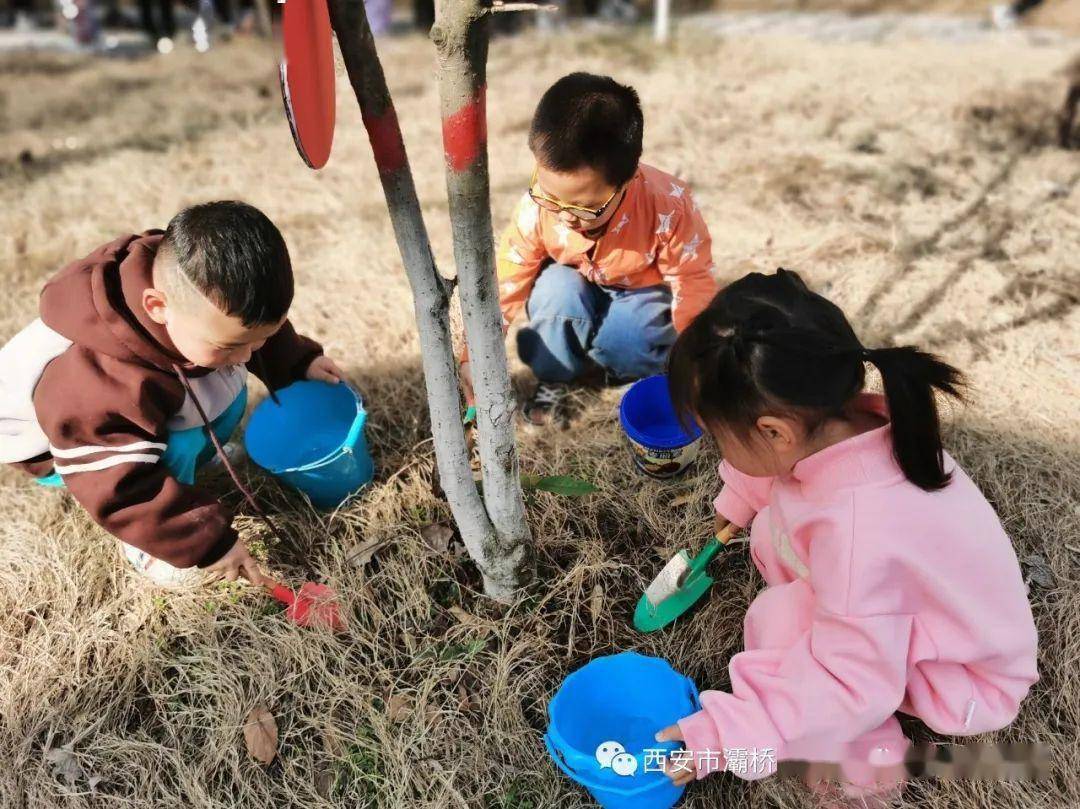 灞桥区狄寨街道中心幼儿园植树节活动