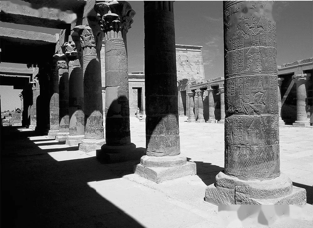 ��Ҳ���������ϲ�����