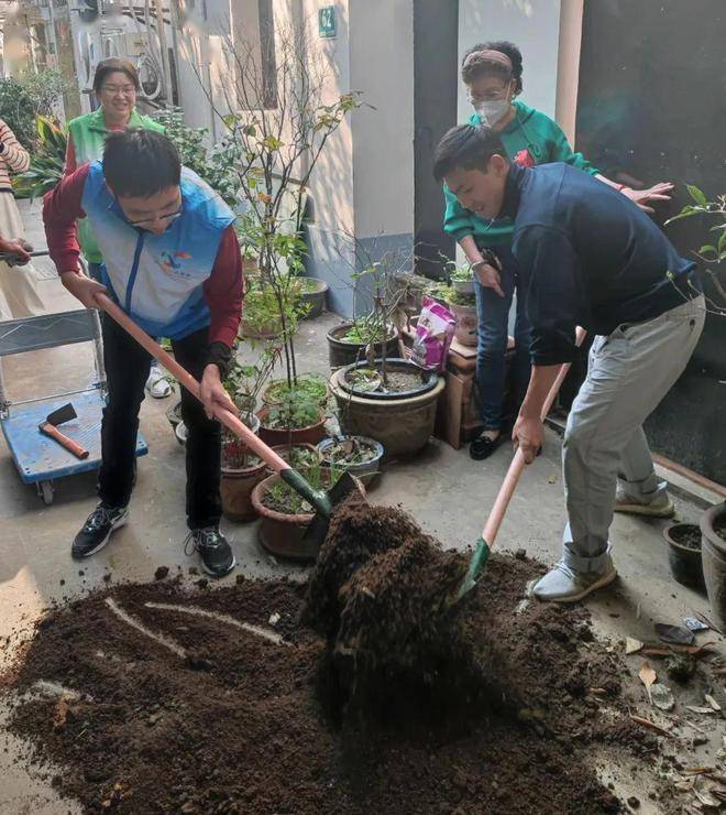 建筑垃圾“改头换面”又重回了小区……