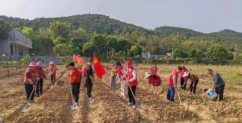 别样过节丨玉林市“三八”活动丰硕多彩