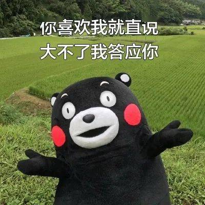 文章配图-6