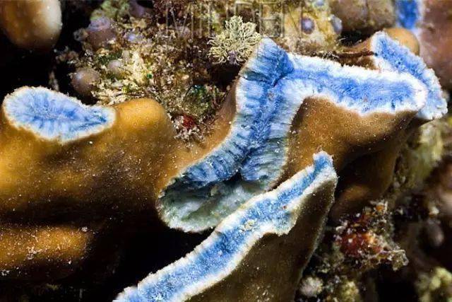 ��֪��������������ϸ��ɳ̲����ʵ���㡾��㡿��