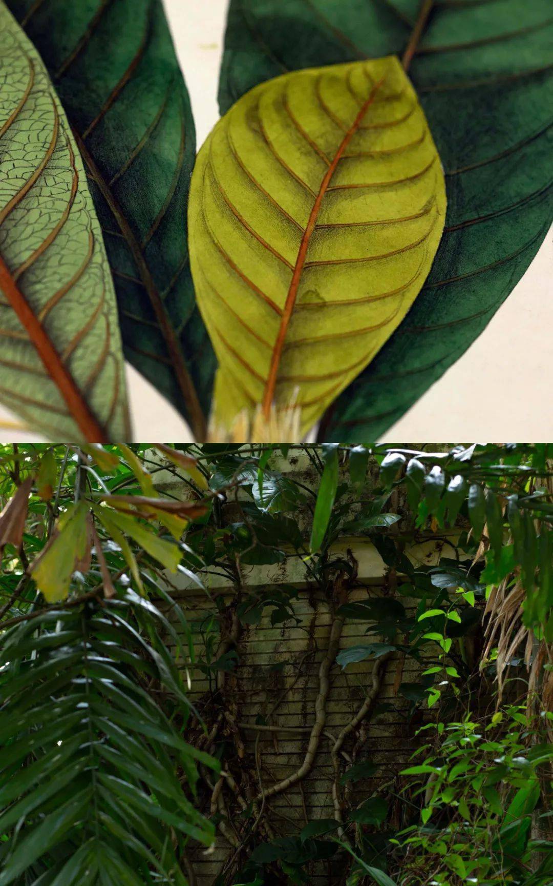 �ط���ۣ��������������ȫ��������ͼ��