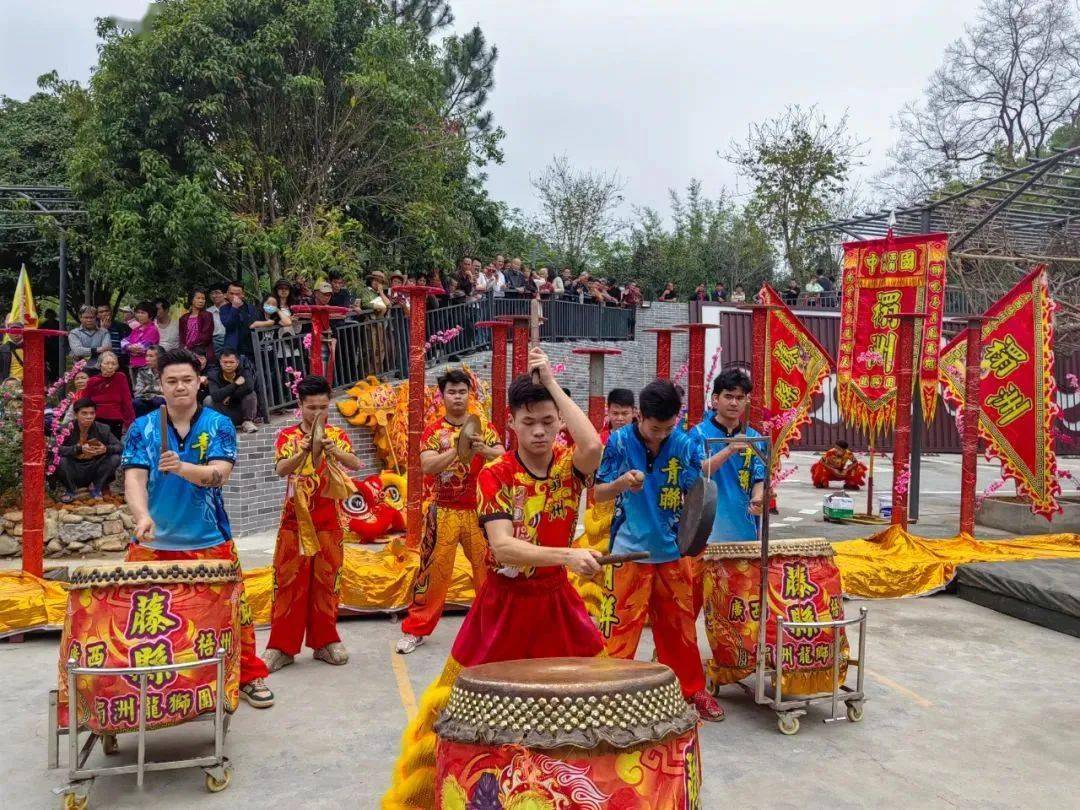 茶香四溢邀您来品丨苍梧县2023年六堡茶开茶节在六堡镇举行