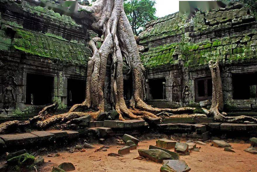 ֵ��һȥ���������ε�