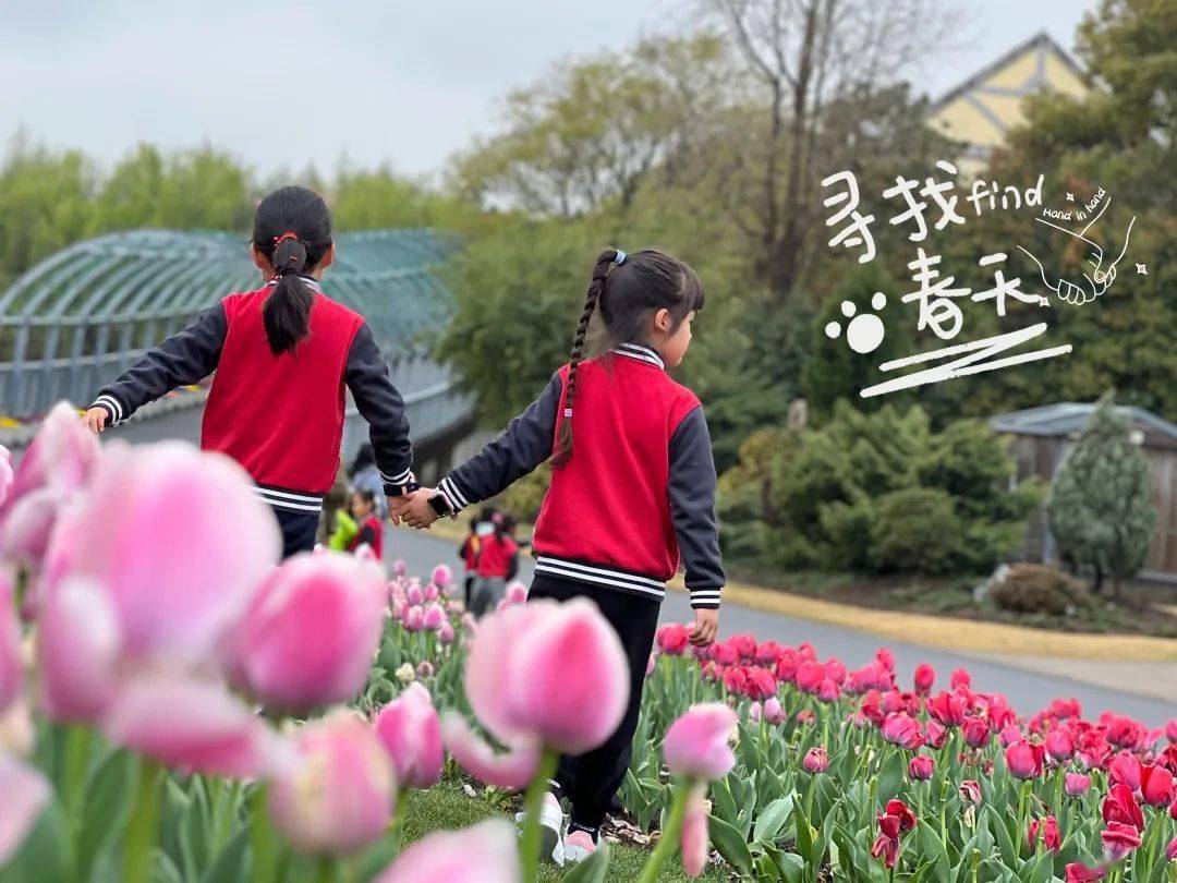 不负春光 春游进行时