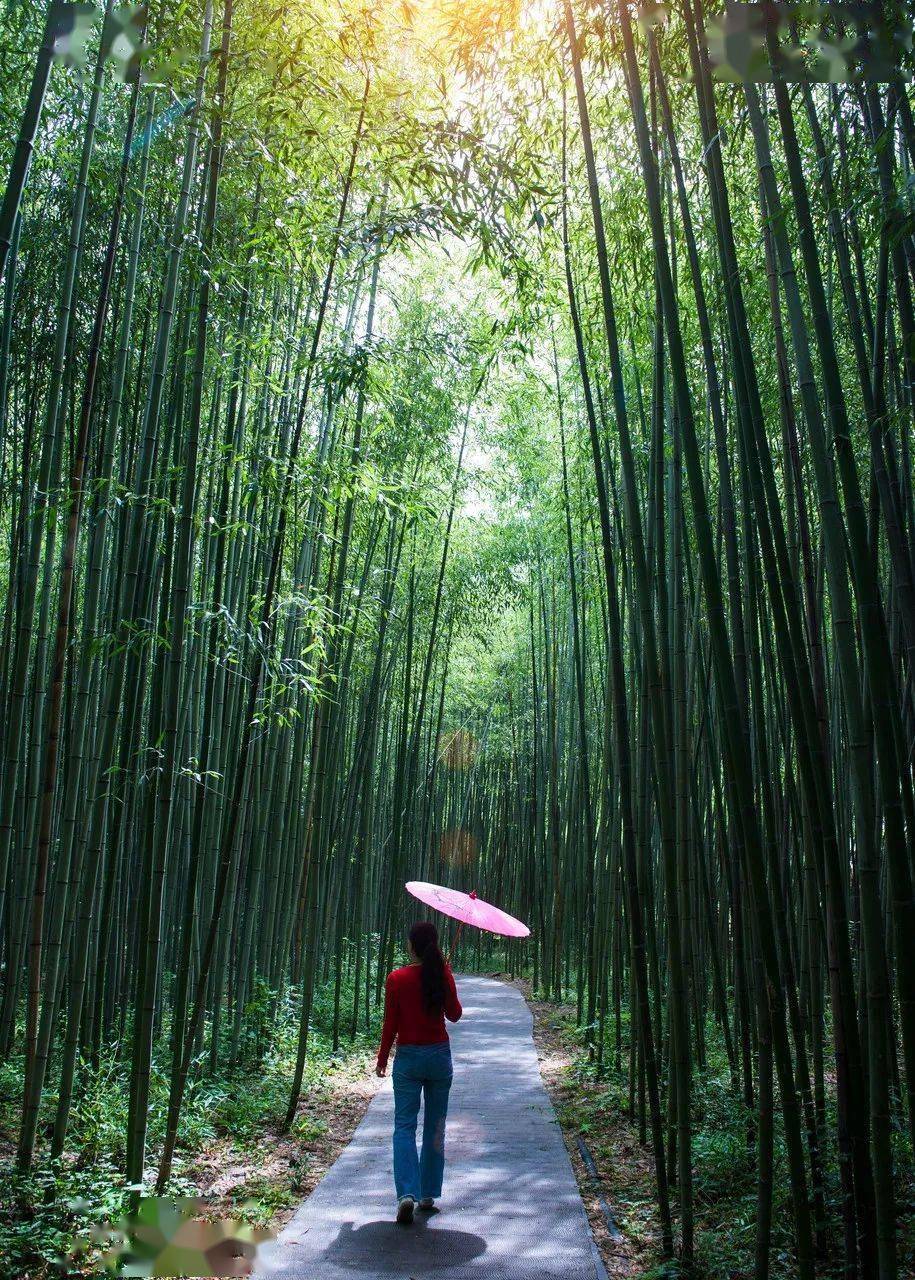 �й���һ�Ʋ���5A������Ƿծ4���ڣ���Ʊ���Ǽۣ���Ȫˮֻ ...