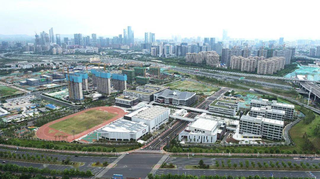 �»��ձ� | ʮ�����£��껨�����š�չ��ͼ