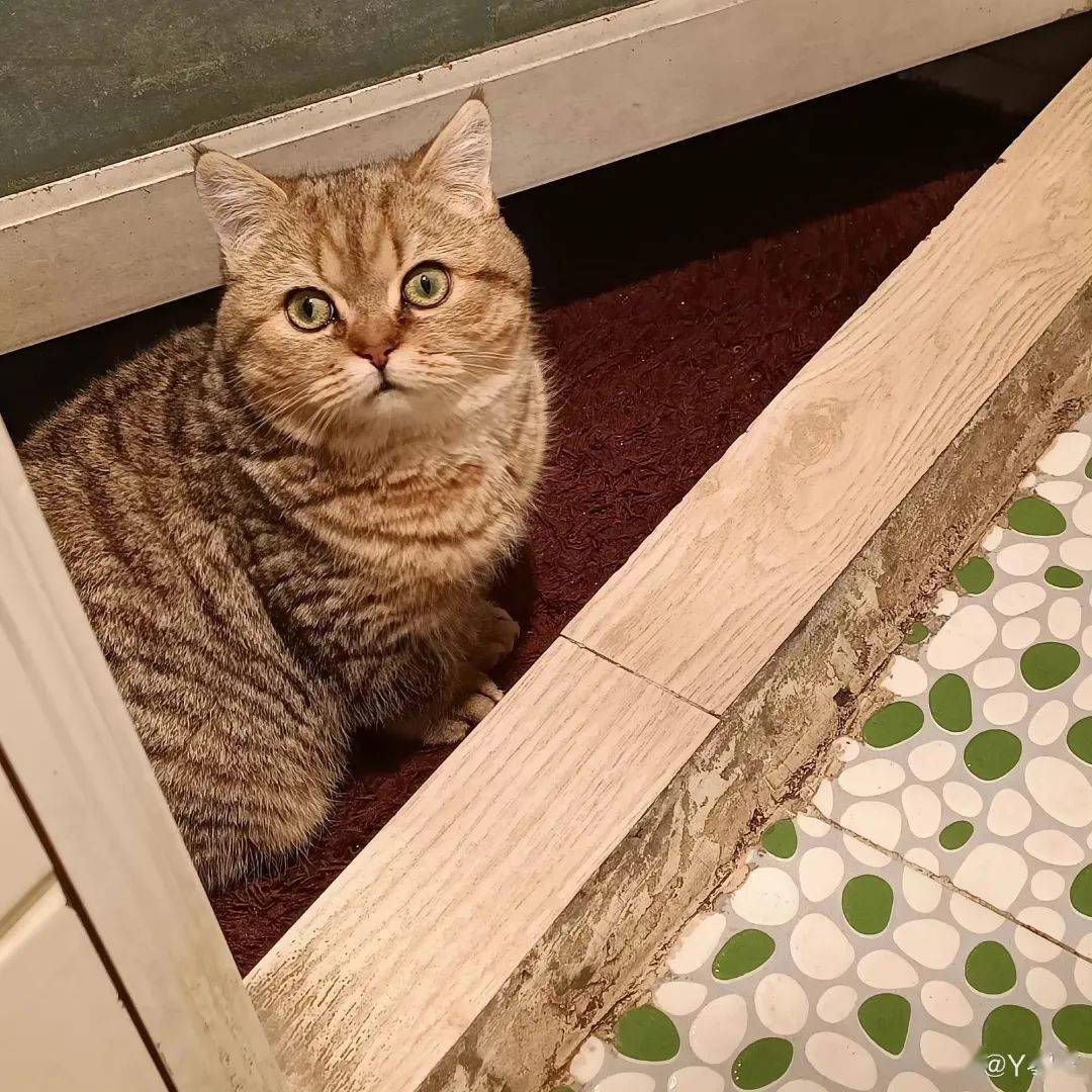 ���ë����Ϊʲôϲ������㣿