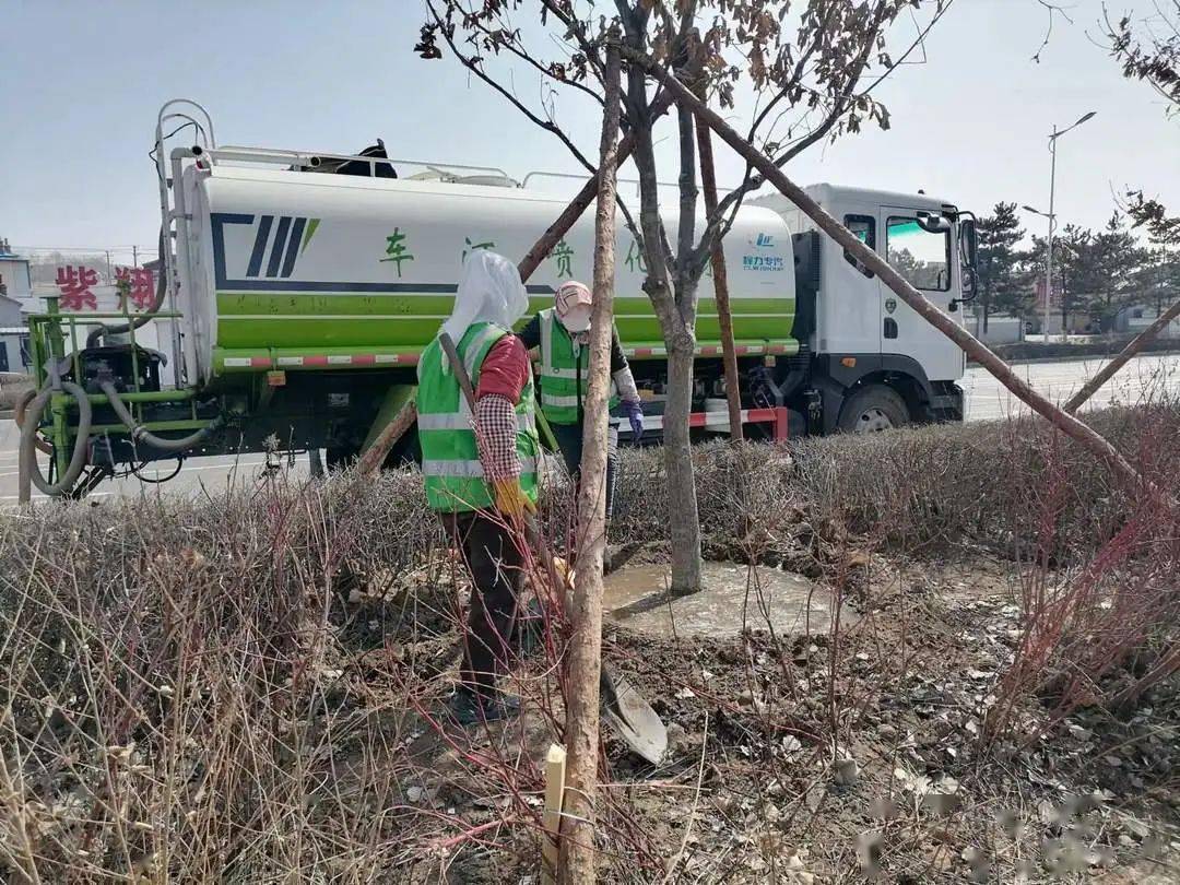 【绿美延吉 我们在行动】绿化提升及树木种植有序推进城市品位升级逐渐显完美电竞现!(图2)