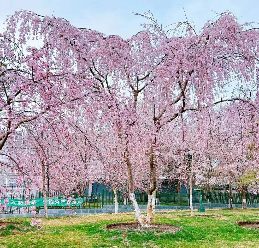 ���չ��ԣ�ʲô����˵TA ���һ����ۣ�