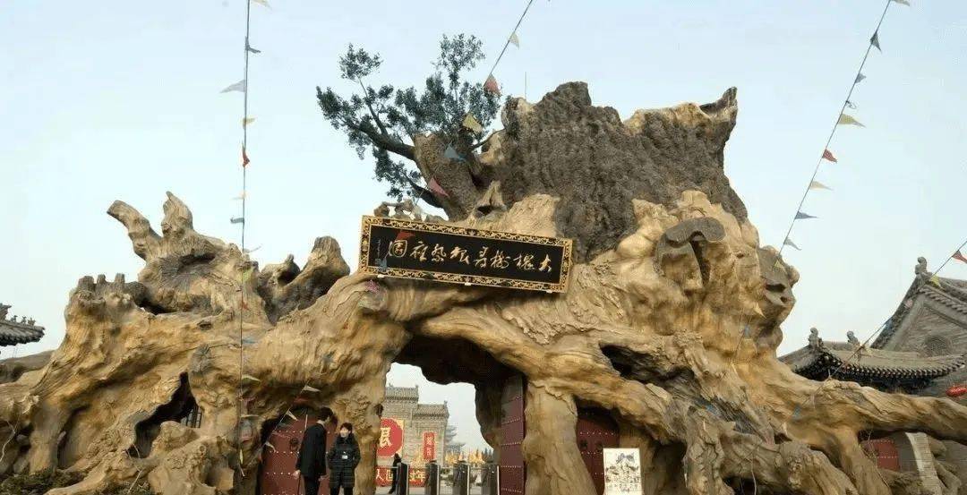 个中国，很多人都会从长辈处听到这样的话：咱们都来自山西洪洞老鸦窝。洪洞大槐树移民的时间从北宋末年宋室南迁开始，到明朝洪武、永乐形成高