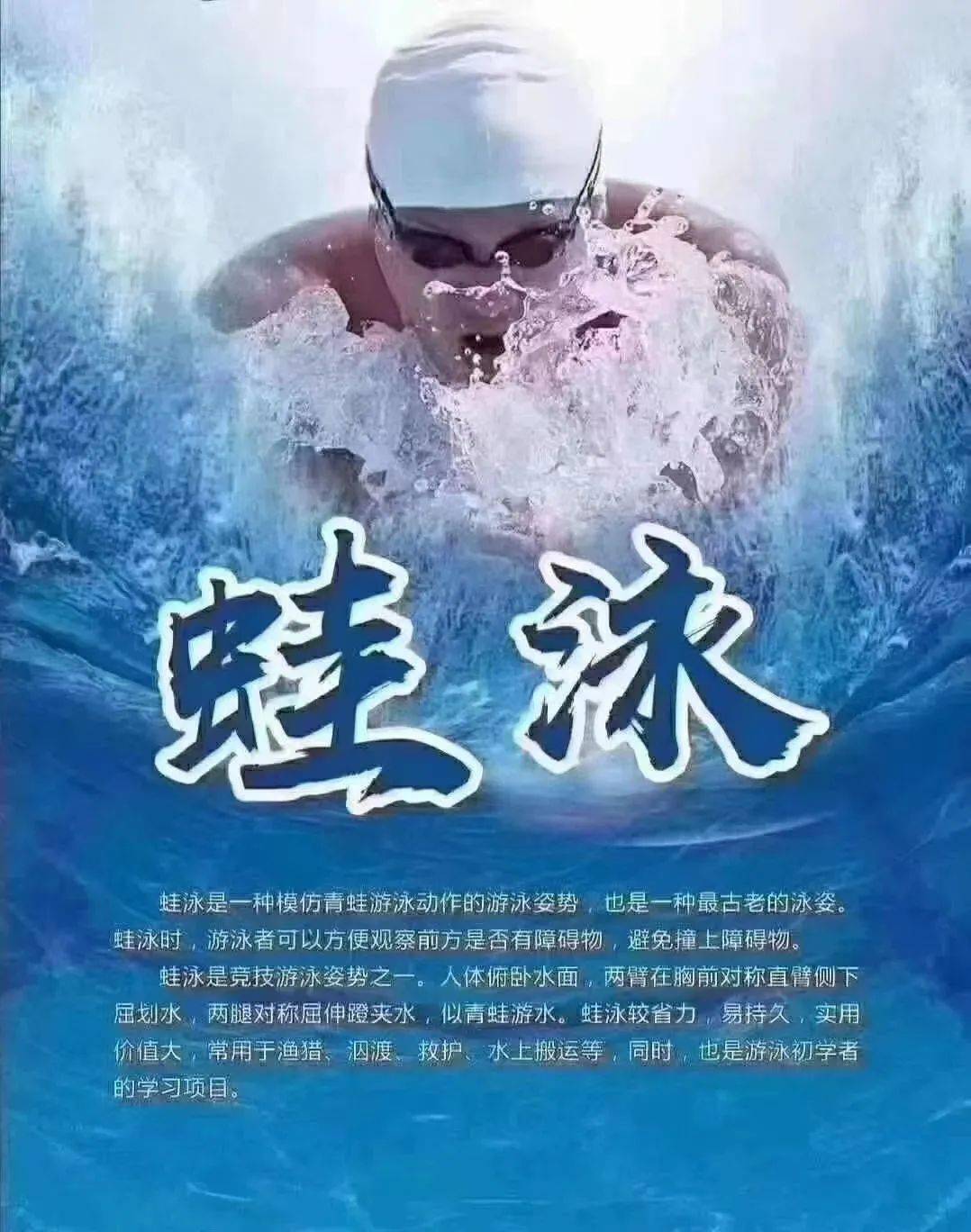 文章配图-18