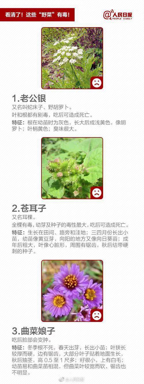 多地提醒：那些工具别乱食用