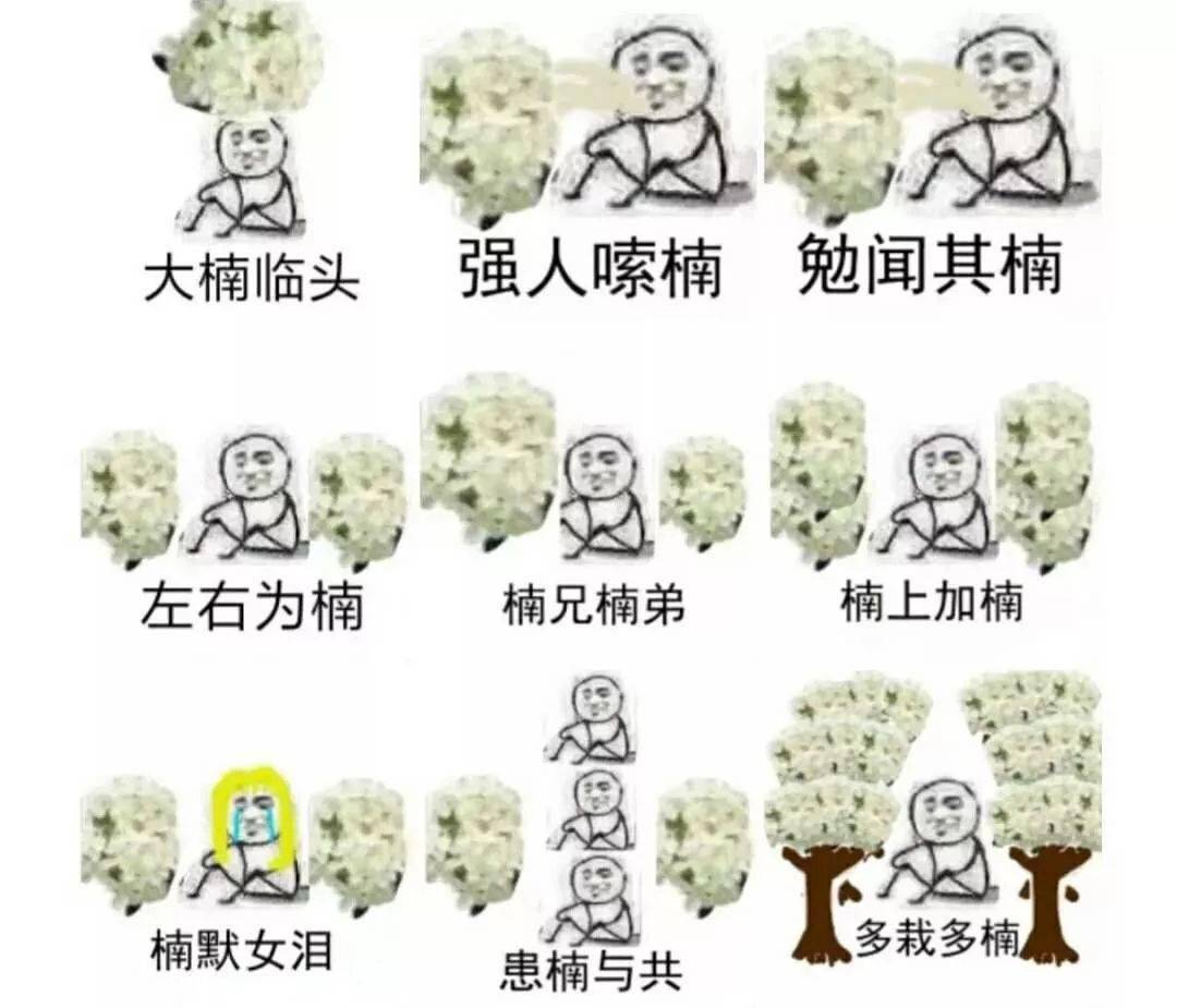 小布说气候 | 回暖按下快进键，但春天里的懊恼也来了......