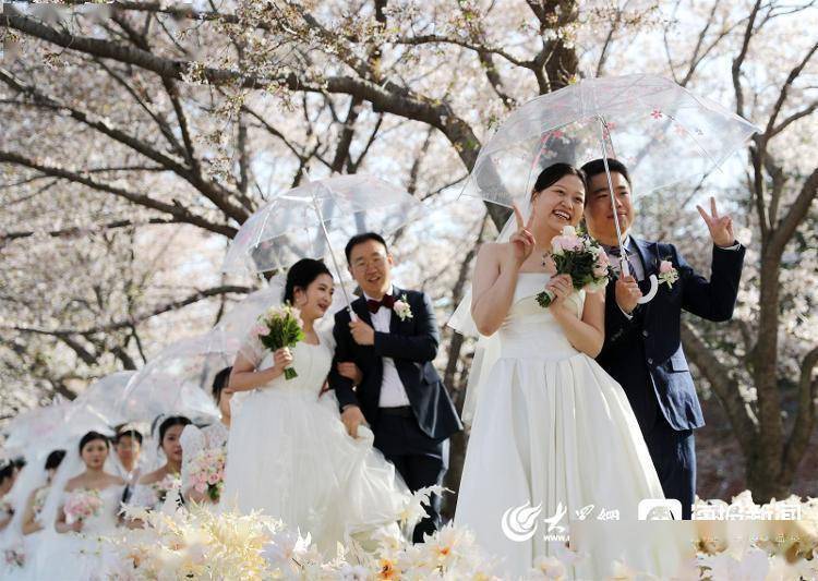 视觉山东丨群众视觉影像库一周图片精选（4月3日-4月9日）