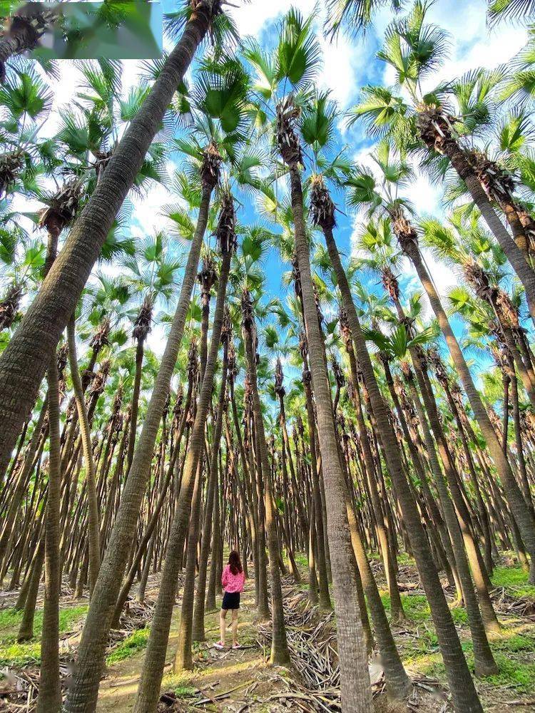 �����ˡ������塿ɳ̲����������,��̲��ʯ����Ϸ,������Ϸˮ,��÷�Ҵ�Ժ,...