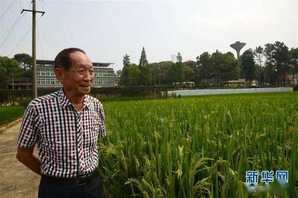 小满节气 | 夏熟凭小满 努力获丰年