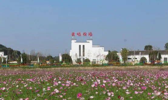 开云体育 开云平台【休闲农业专题】2023年全国休闲农业重点县申报工作启动！借鉴