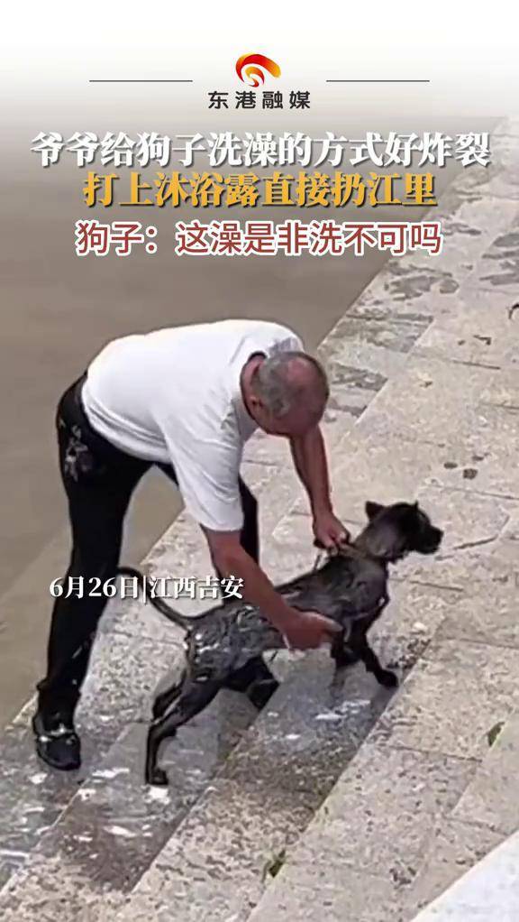 6月26日，江西吉安，爷爷给狗子洗澡方式好炸裂，打上沐浴露直接扔江里。狗子：这澡是非洗不可吗？（编辑：Suen）#搞笑