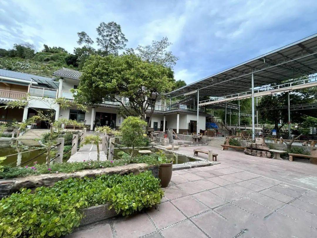 攀西芒果产业发源地 崛起了一座“吃阳光饭”的“零碳村”(图6)