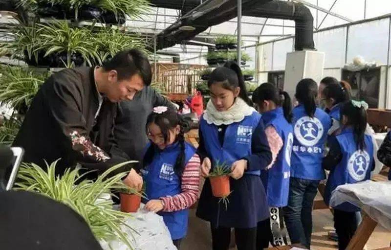 休闲农业与乡村旅游发展前景开云 开云体育官网分析(图5)