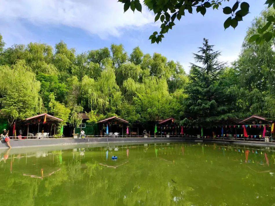 夏日休闲纳凉正当时 麦积区乡村旅开云 开云体育平台游迎来高潮(图2)