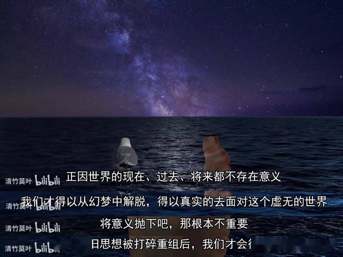 不管你信不信，这只柴犬在B站就是秦始皇
