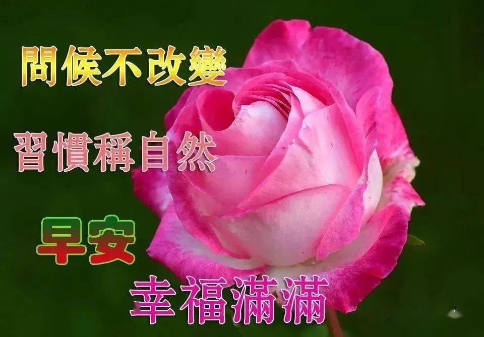 2023最新早上好表情图片大全，愿你四季平安，一生幸福！