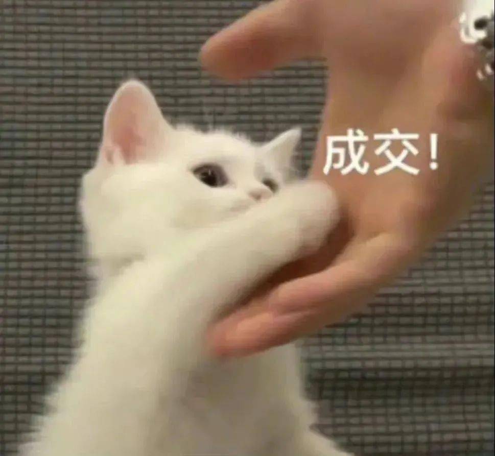 立案调查！6家化妆品企业被点名