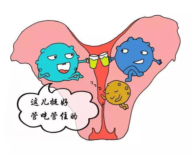 这些常见的妇科病你都认识吗？应该如何治疗呢？