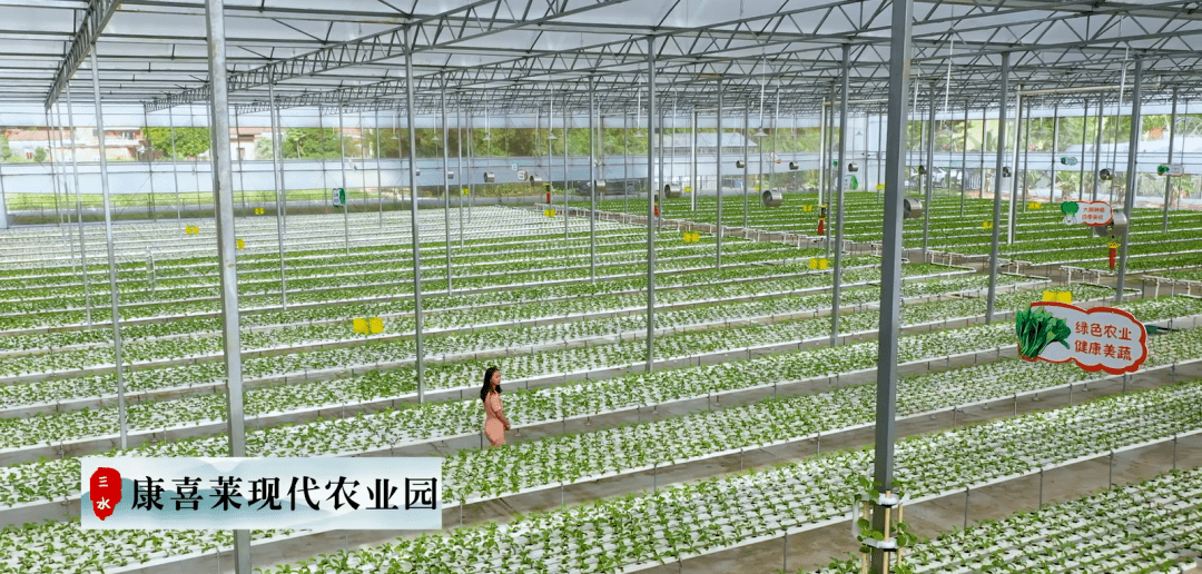 种推广示范发展于一体的综合型农业专业合作社，是佛山市的菜篮子基地。
