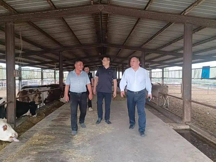 景县政府县长李景辉深PG电子入一线实地督导省环保督察反馈问题整改工作
