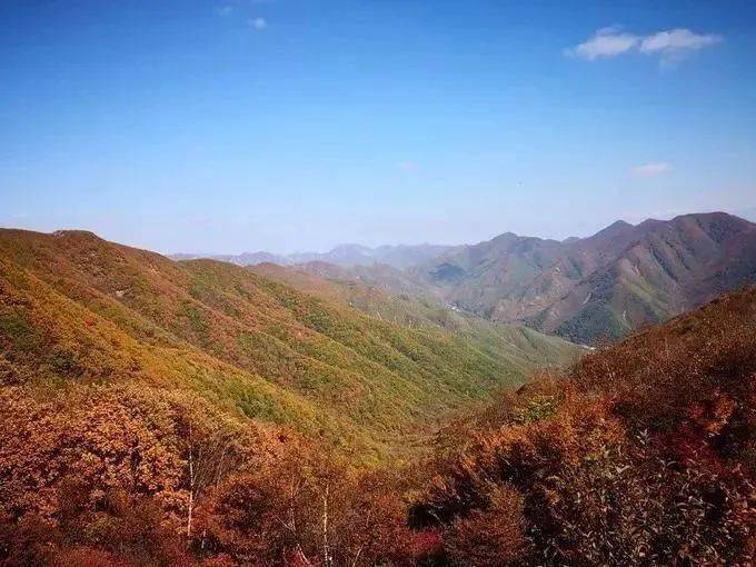 开云APP 开云官网入口推荐！6条庄河“高颜值”休闲农业和乡村旅游精品线路(图3)
