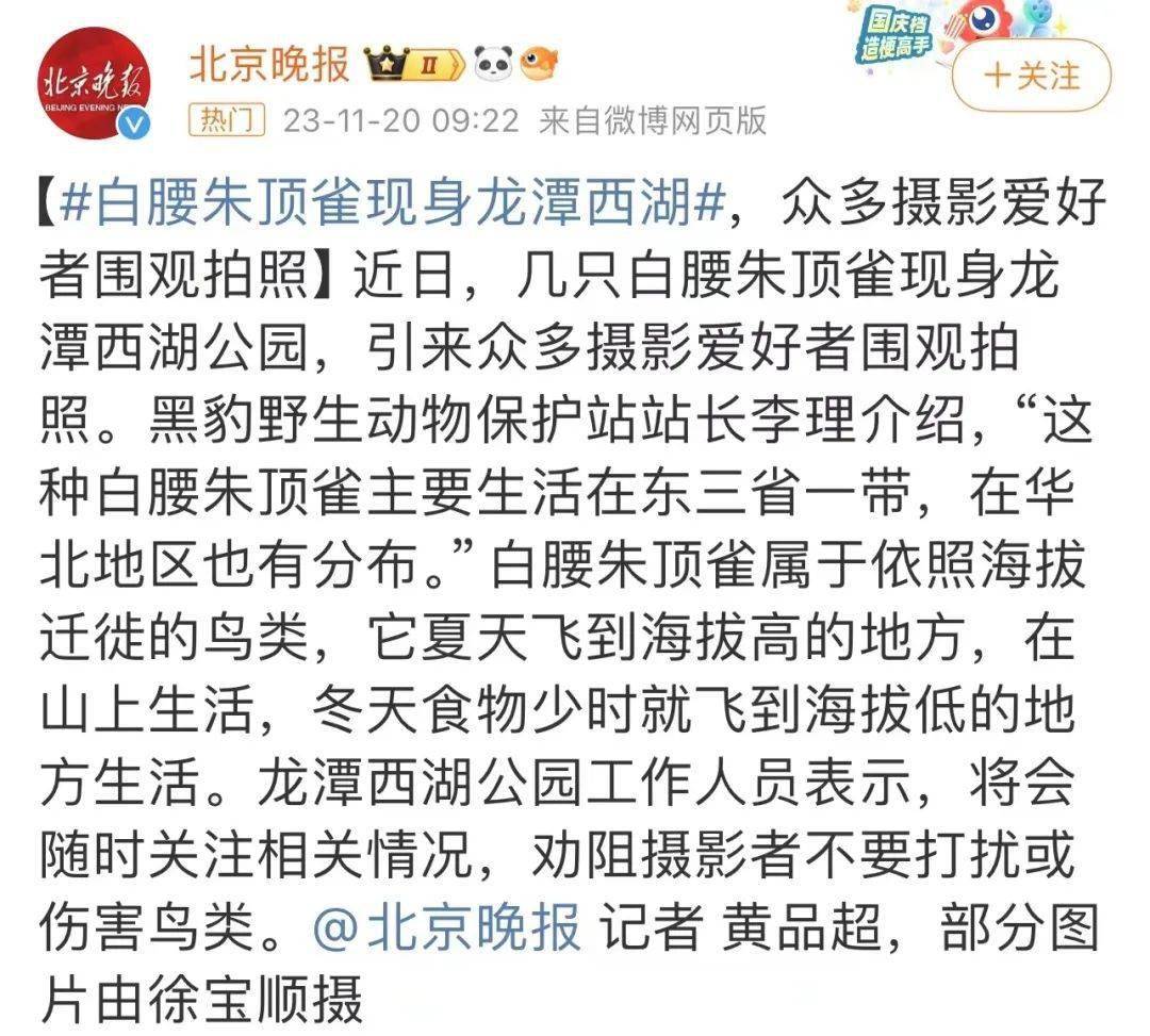 文章配图-13