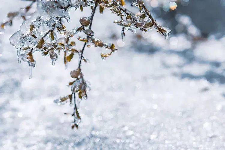 雪的28种别称，古代的名字太好听!
