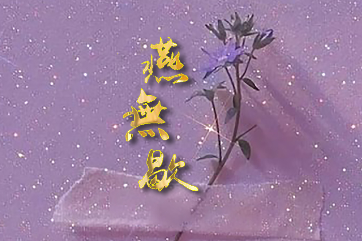 最近大火的歌曲燕无歇