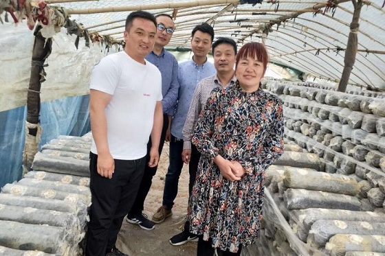 柘城县安平镇:积极投身基层"三夏"志愿服务的大学生——翟田田