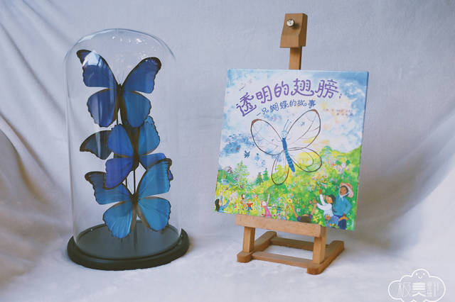 极美绘本推荐|适合3-6岁自然科学主题的绘本《透明的翅膀》