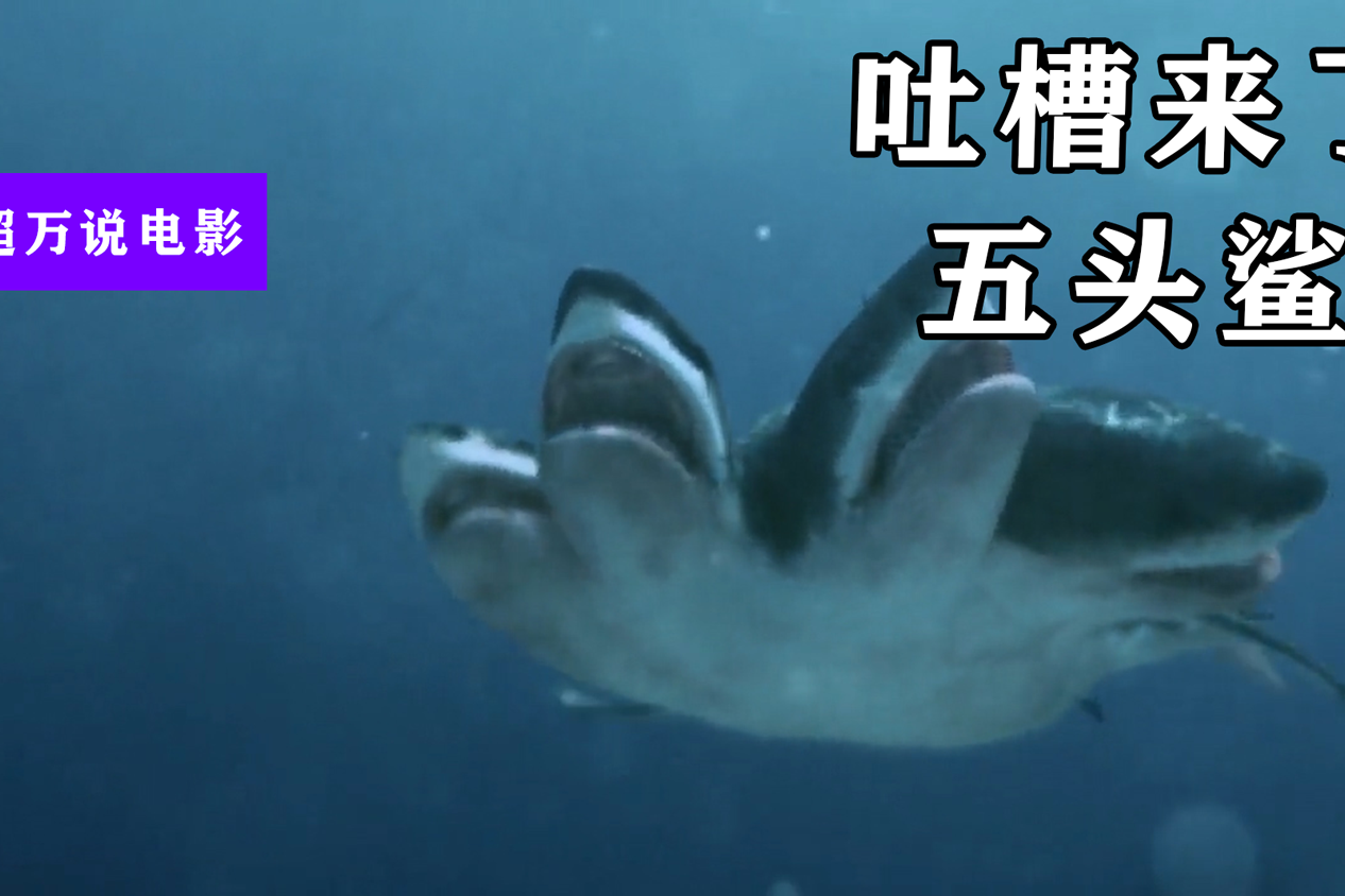 五头鲨来了这么奇怪的鲨鱼还是第一次见人类如何与它抗争