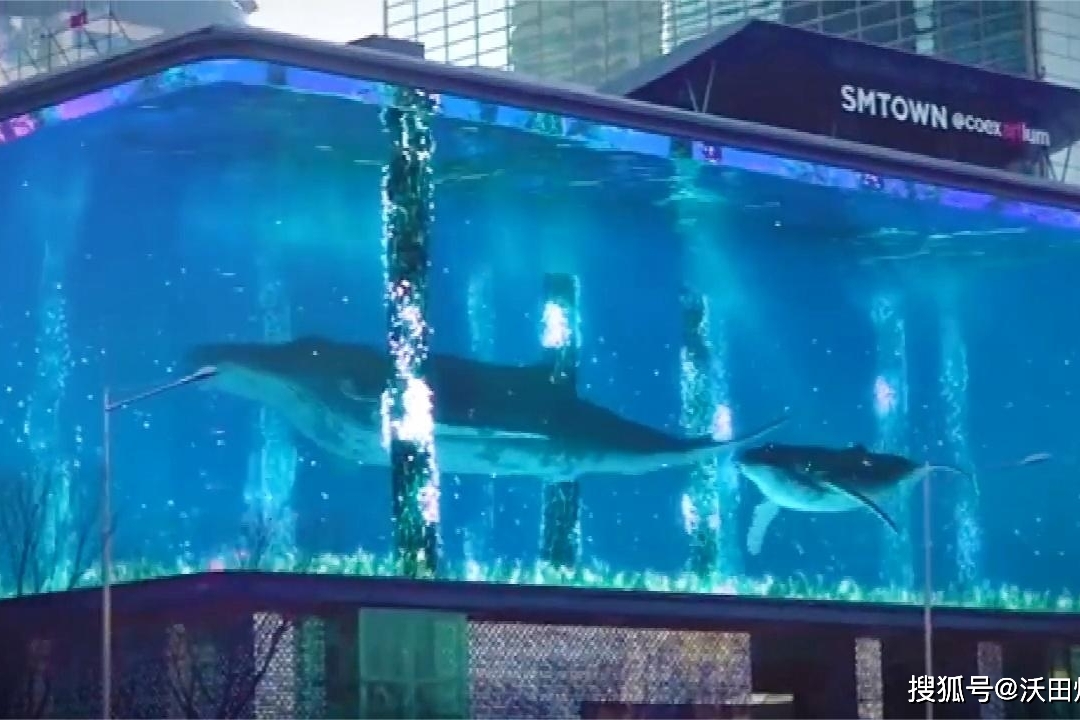超逼真3d全息投影水族馆,裸眼无法分辨出真假