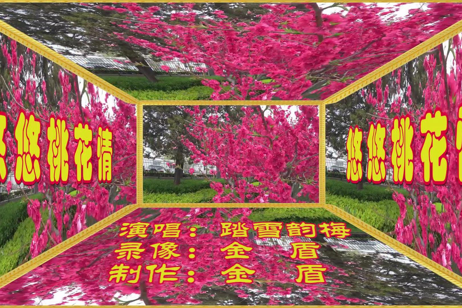 分享一首好听的悠悠桃花情优美歌声好听