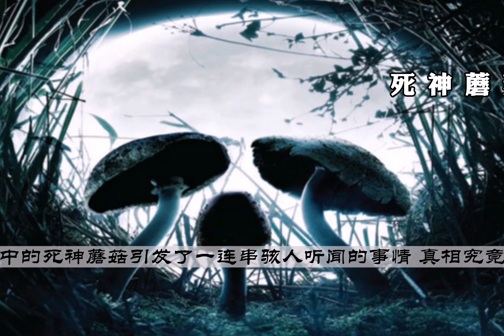 死神蘑菇作死青年为求刺激吃毒蘑菇出现幻觉引发怪兽连连