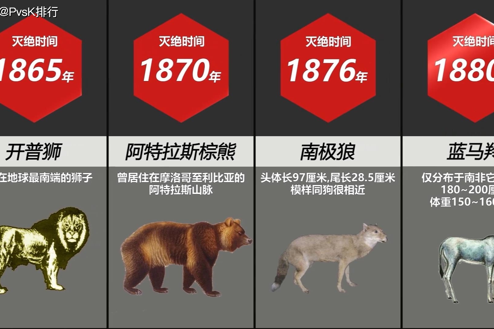 已灭绝的30种动物