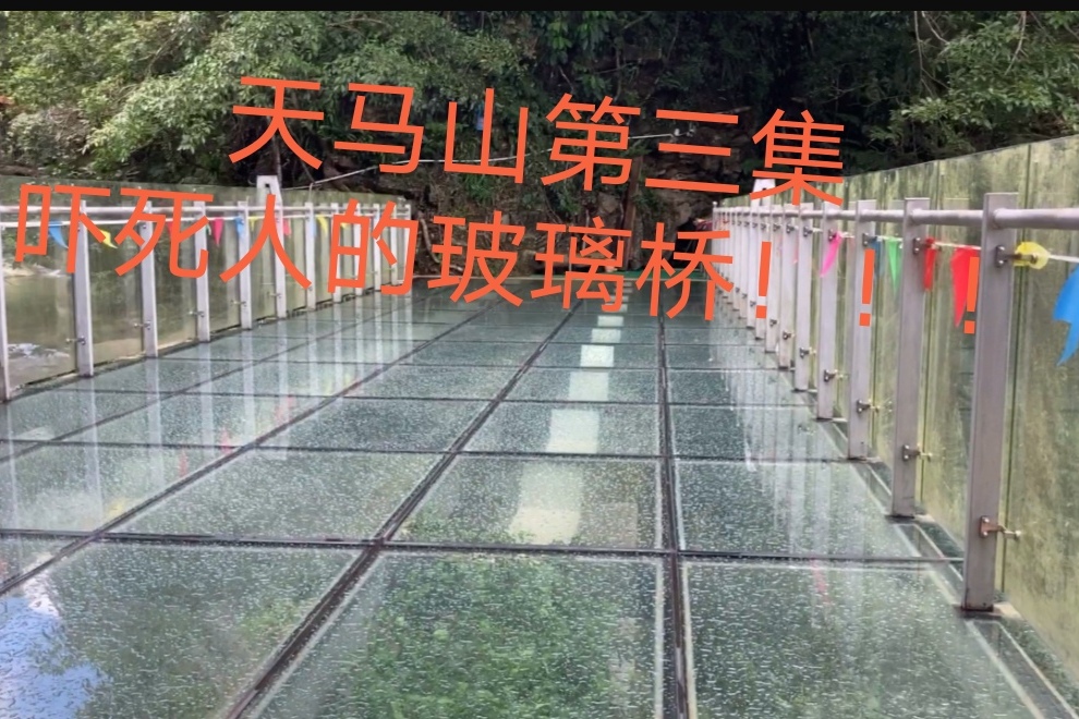 独游信宜天马山终于找到传说中的玻璃桥吓得我腿软心又碎