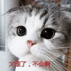 10439488d70046aa81efecf413e60422.png