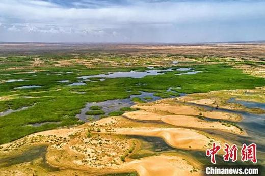 引黄入沙中国第七大沙漠涌现水生态长廊